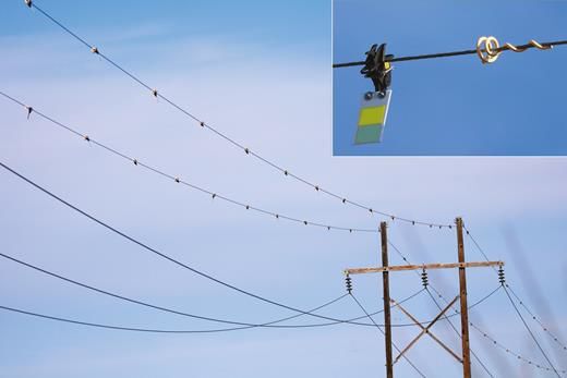 Crane collisions